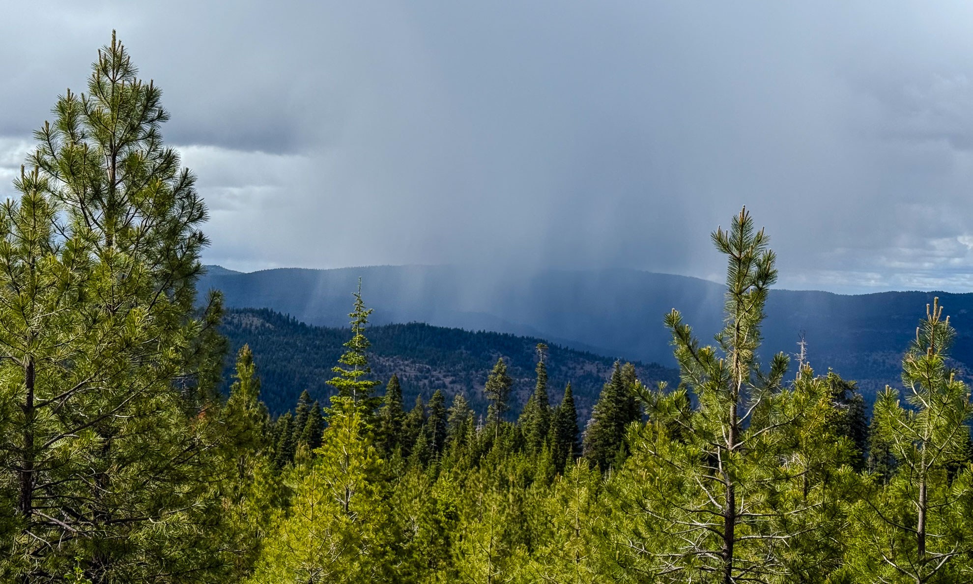 Cougar Creek