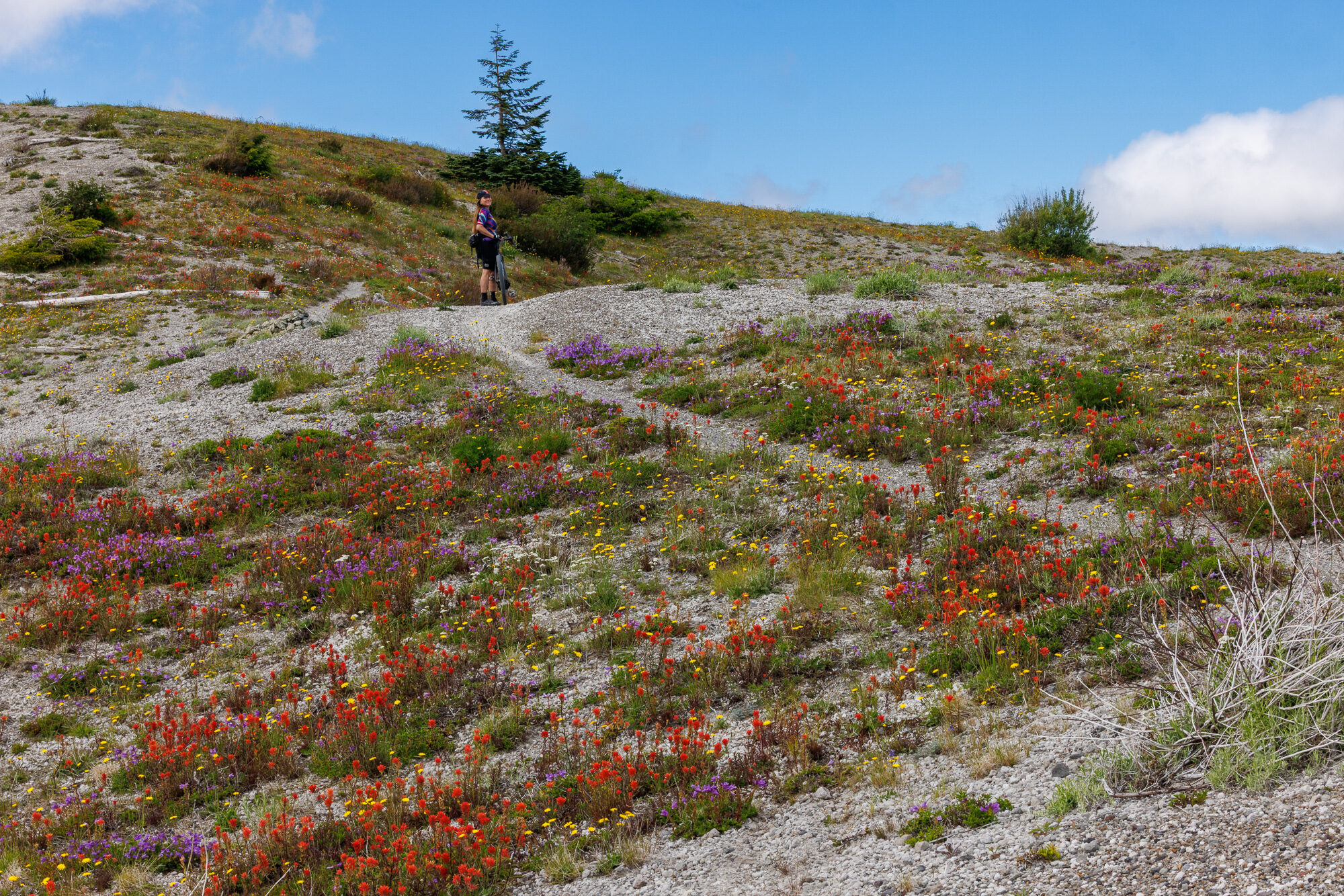 Loowit — Mount St. Helens ride, photo 34