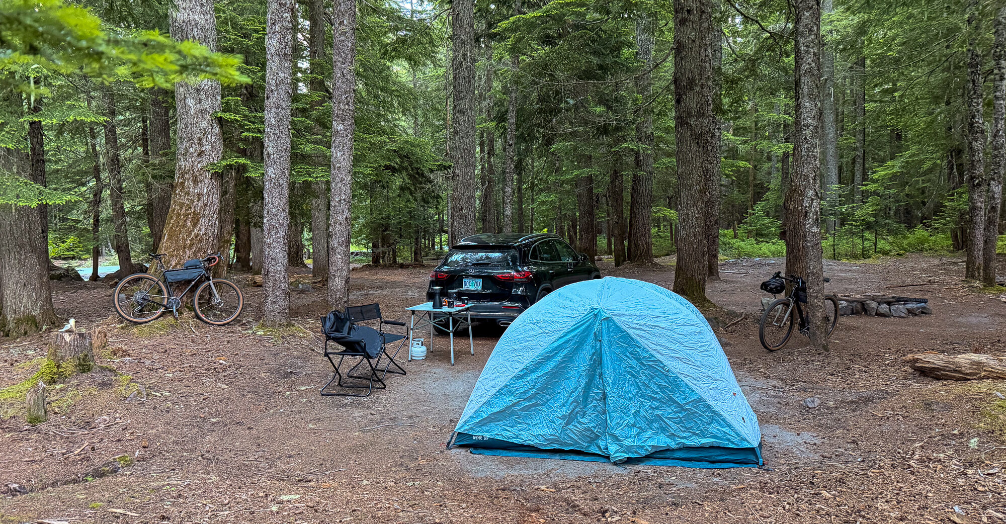 The camp set among tall trees on the forest floor at dusk